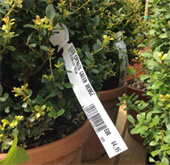 Etiquetas para jardineria, plantas y árboles