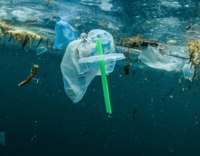 Leer mensaje completo: Llega el fin de los envases plásticos de un uso
